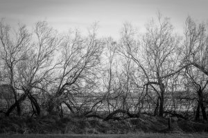 Naturaleza oscura