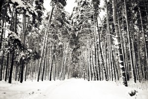 Naturaleza oscura